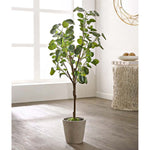 Safavieh Faux Polyscias Fruticosa Potted Tree