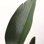 Safavieh Faux Gladiolus Potted Plant