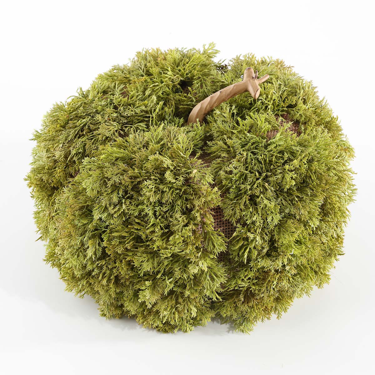 Safavieh Faux 10 Inch Moss Pumpkin , FXP1067 - Green