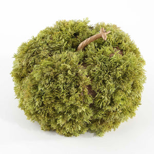 Safavieh Faux 10 Inch Moss Pumpkin , FXP1067