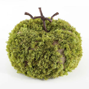 Safavieh Faux 15 Inch Moss Pumpkin , FXP1068