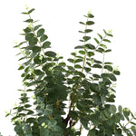 Safavieh Faux Eucalyptus 60 Potted Tree , FXP2001 - Green