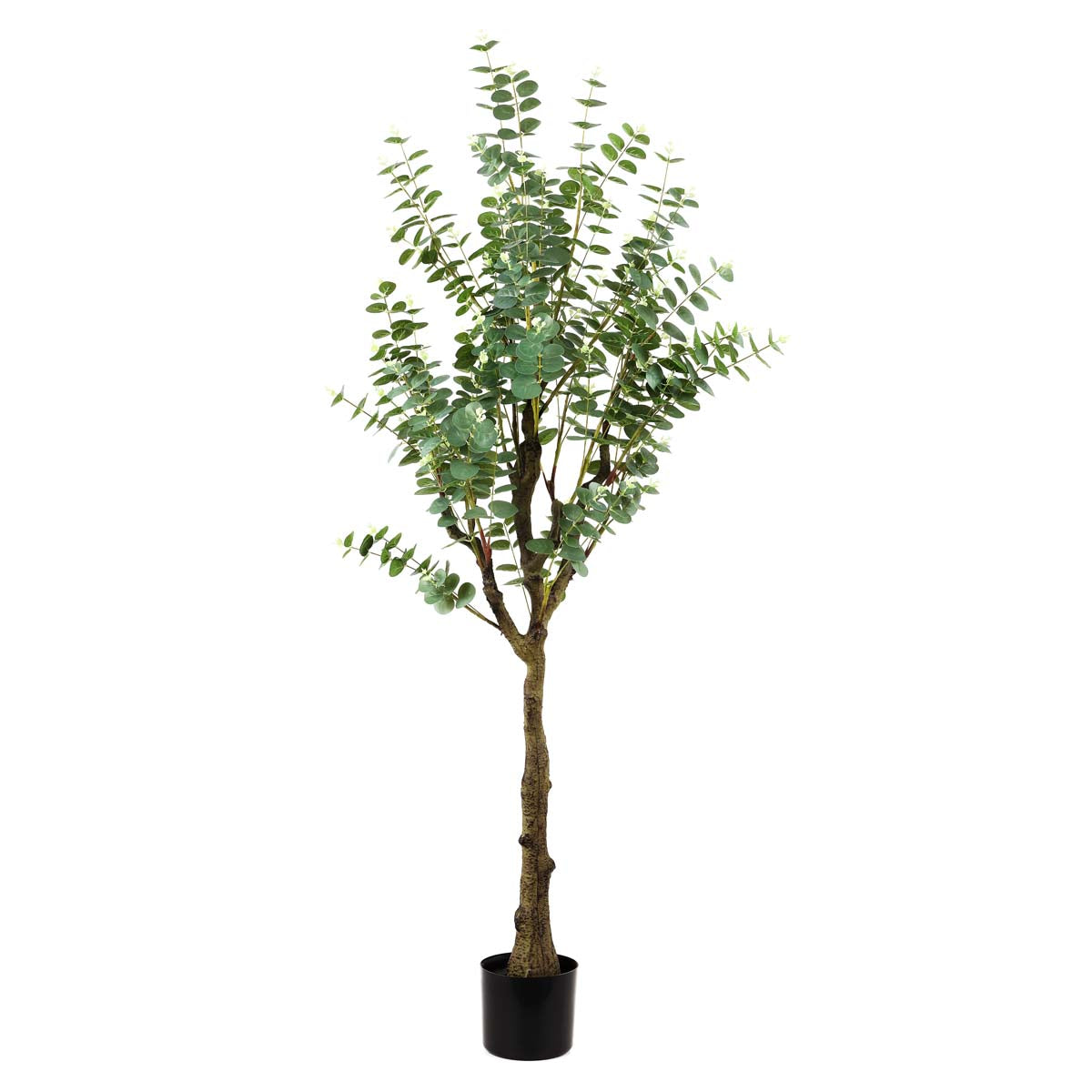 Safavieh Faux Eucalyptus 60 Potted Tree , FXP2001 - Green