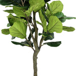Safavieh Faux Fiddle Leaf Fig 50 Potted Tree , FXP2002