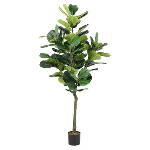 Safavieh Faux Fiddle Leaf Fig 50 Potted Tree , FXP2002