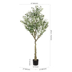 Safavieh Faux Olive 60 Potted Tree , FXP2007 - Green