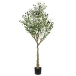 Safavieh Faux Olive 60 Potted Tree , FXP2007 - Green