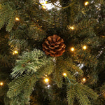 Safavieh 7.5 Ft Pre, FXP2017 - Green