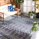 Safavieh Havana 301 Rug, HAV301 - Light Silver / Blue