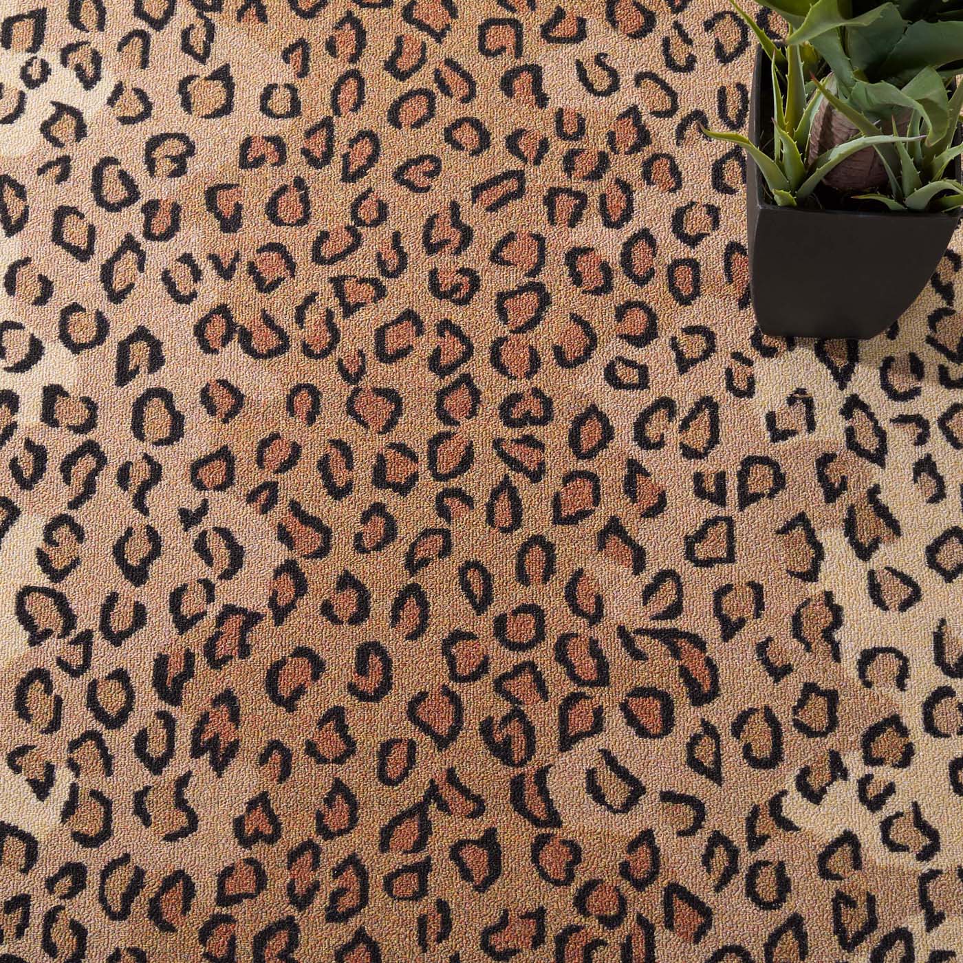 Safavieh Journey 117 Rug, JNY117 - Beige / Black