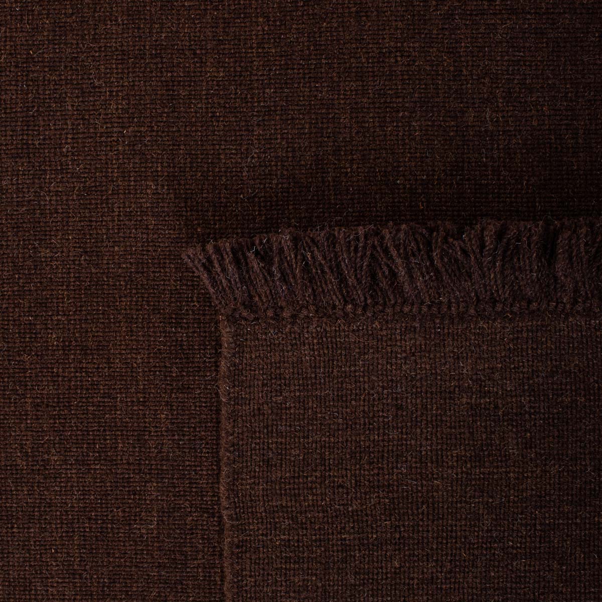 Lauren Ralph Lauren LRL6360 - BROWN