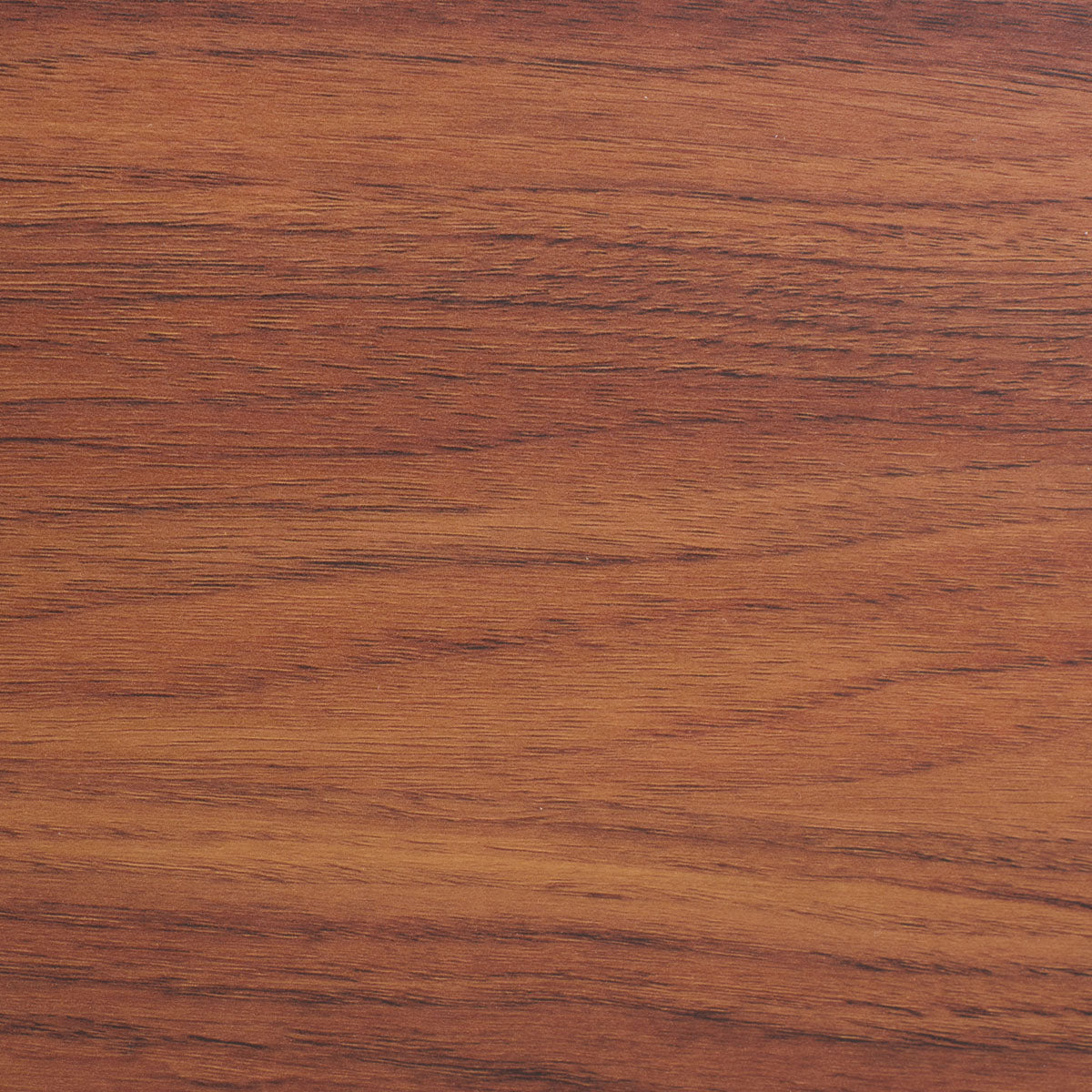 Walnut - Walnut