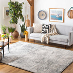 Safavieh Metro 999 Rug, MET999 - Black / Ivory