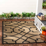 Martha Stewart 4121 Rug, MSR4121 - Dark Beig / Black