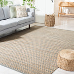 Safavieh Natural Fiber 701 Rug, NFB701 - NATURAL / GREY