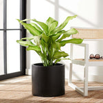 Safavieh Braslen Planter, PAT1516 - Black