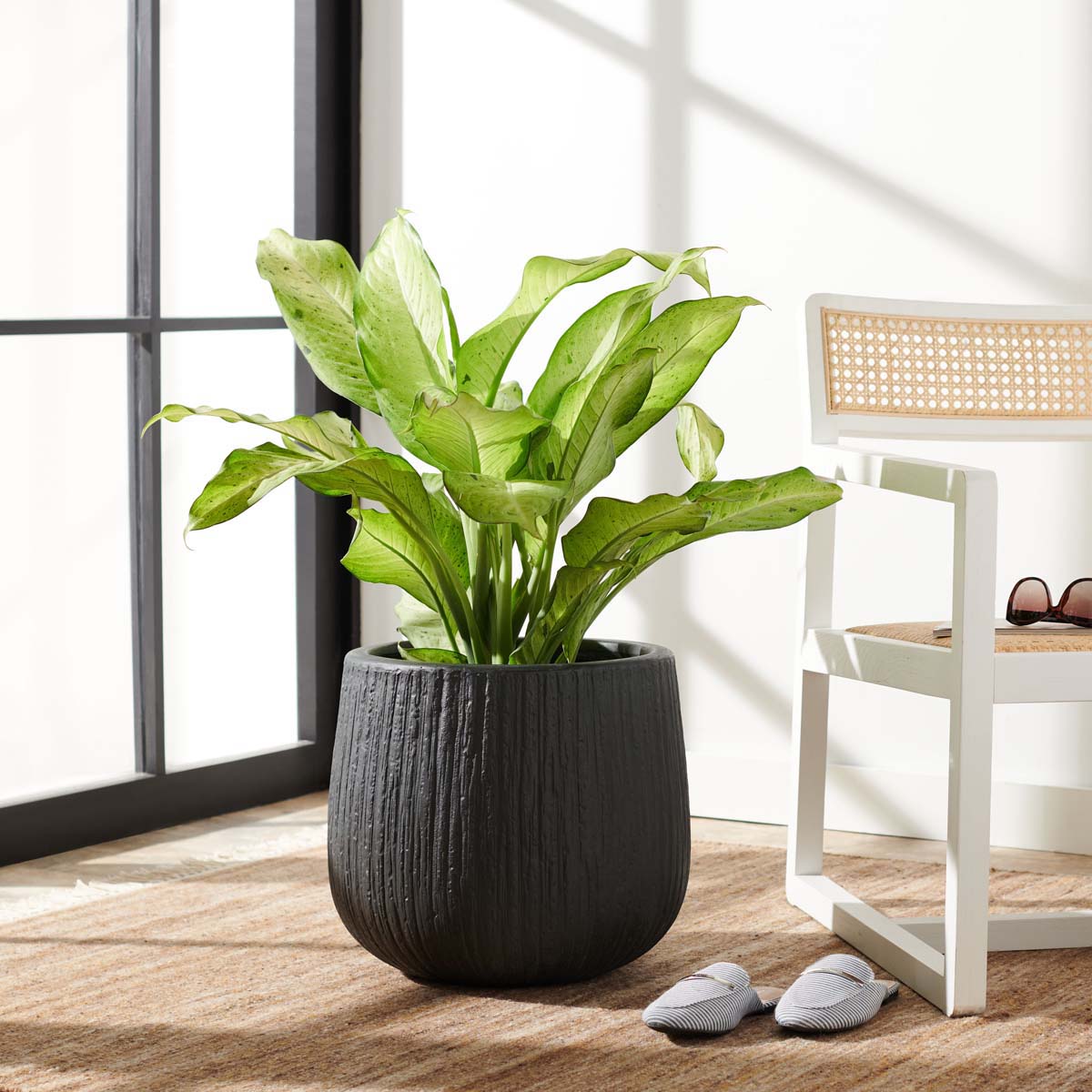 Safavieh Francia Planter, PAT1523 - Black
