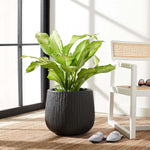 Safavieh Francia Planter, PAT1523 - Black