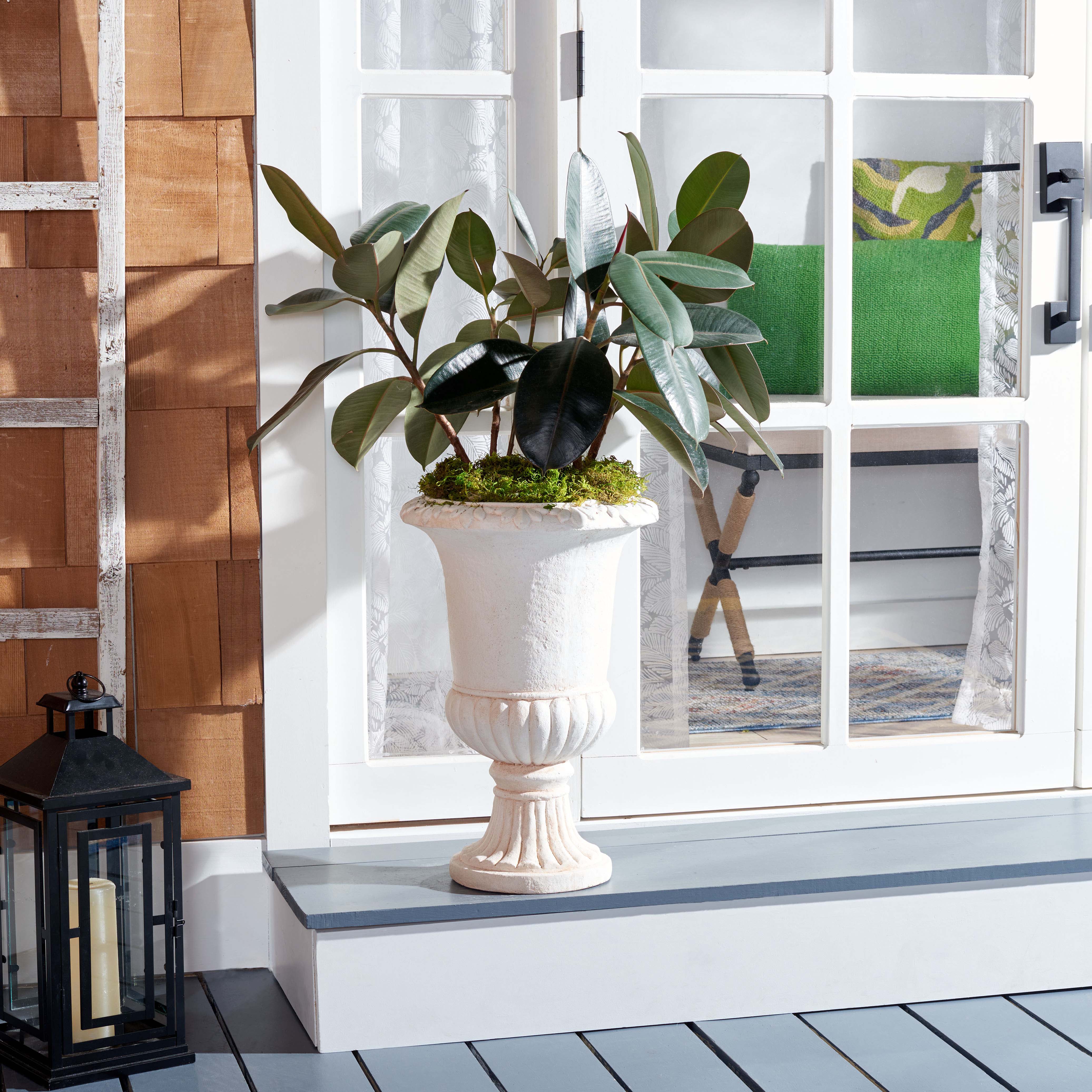 Safavieh Paul Planter , PAT5037 - Off White