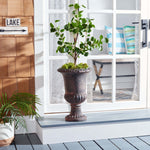 Safavieh Paul Planter , PAT5037 - Brown