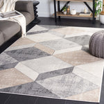 Safavieh Phoenix 552 Rug, PHX552 - Light Grey / Beige Charcoal