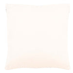 Safavieh Vanka Pillow , PLS4005 - Beige / Black