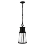 Safavieh Laela Outdoor Pendant/Black , PLT4035 - Black