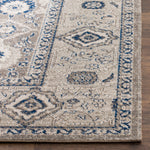 Safavieh Patina 322 Rug, PTN322 - Taupe / Ivory