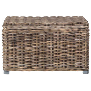 Safavieh Mikasi Wicker Trunk , SEA7018