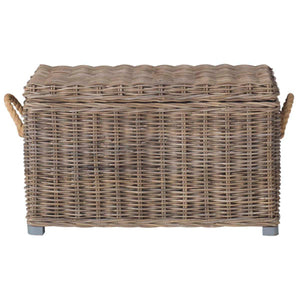 Safavieh Salim Wicker Trunk , SEA7019