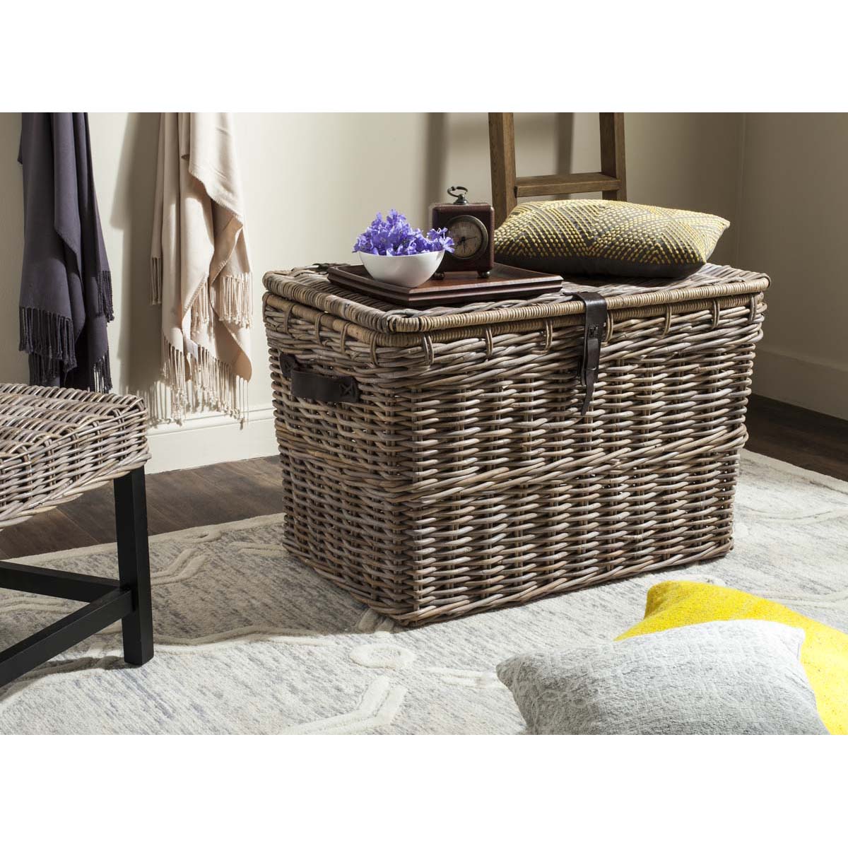 Safavieh Amancio Wicker Trunk , SEA7021 - Grey