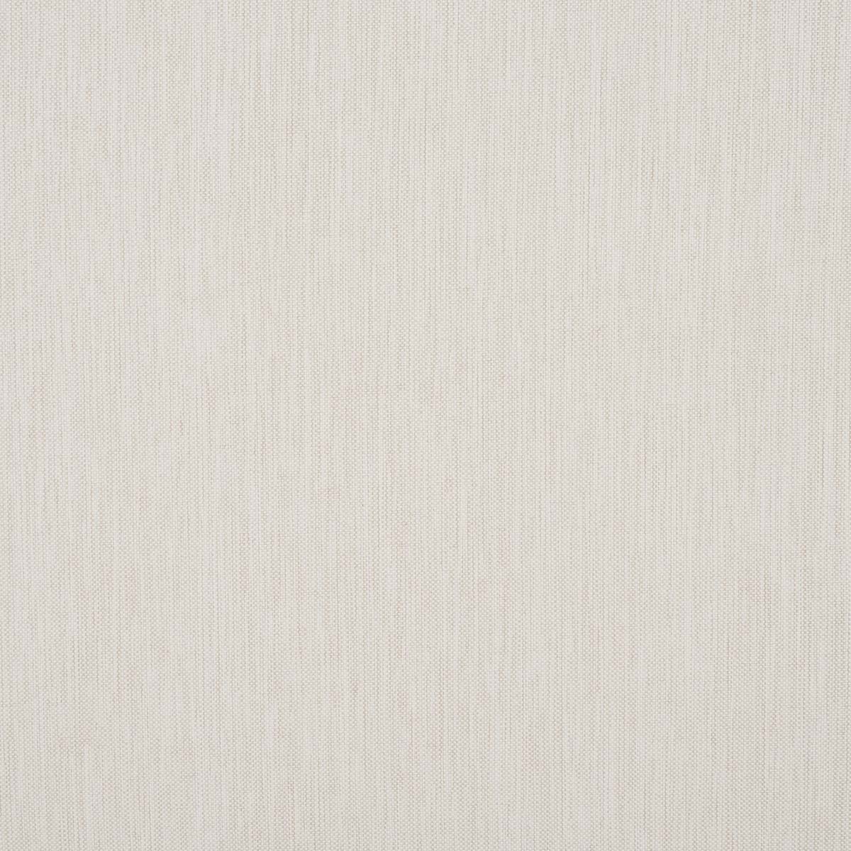 Honey / White - Honey / White