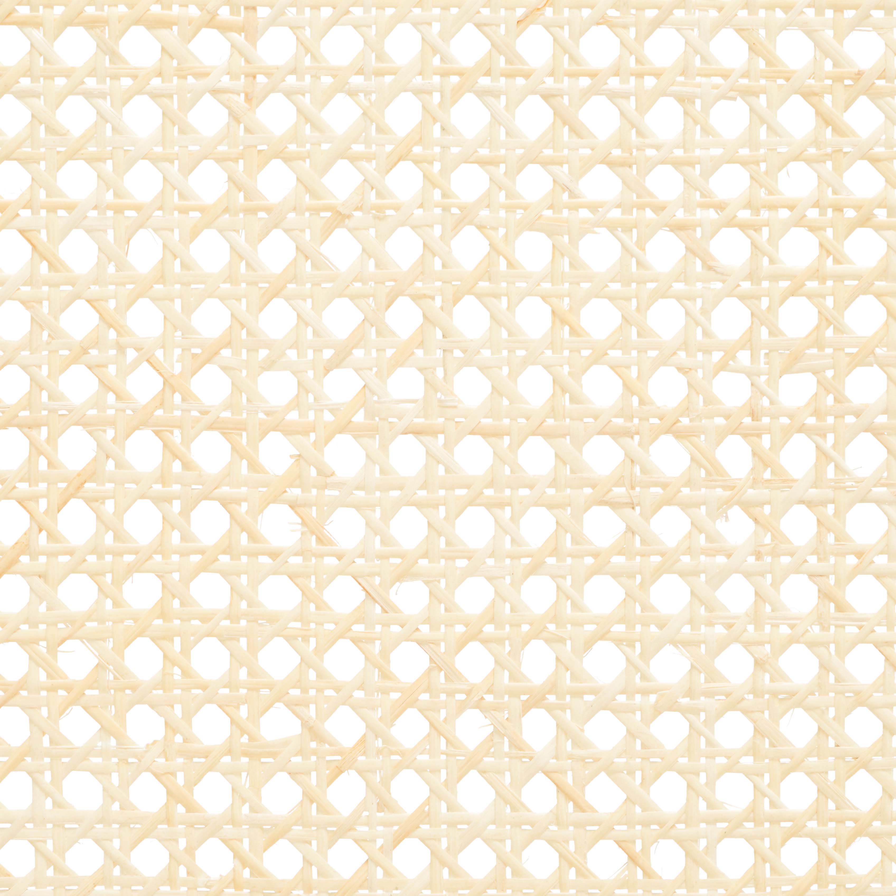 Safavieh Couture Kristianna Rattan Back Dining Chair(Set of 2) , SFV4127 - Black / Natural