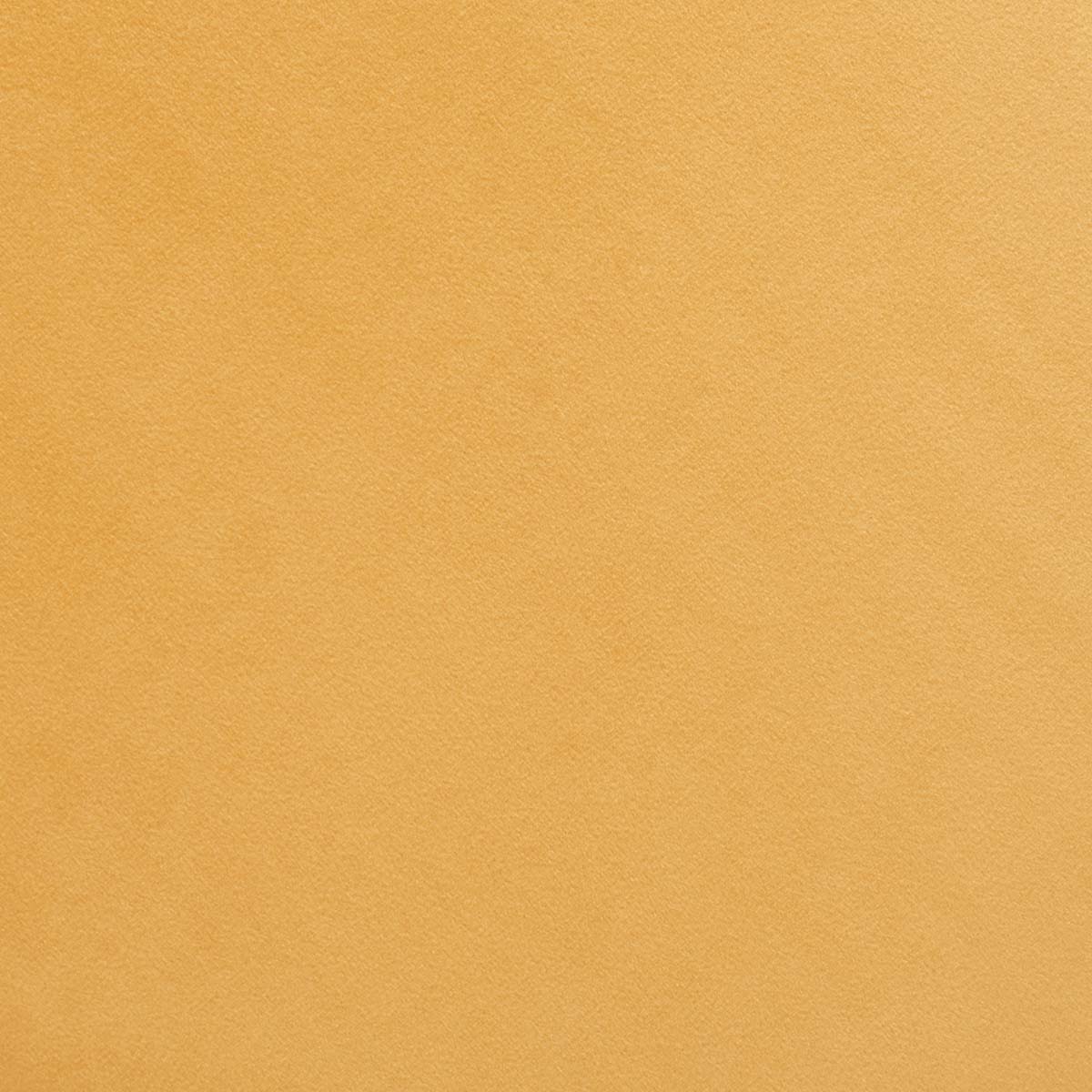 Mustard / Black - Mustard / Black