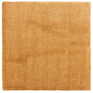 Safavieh Hudson Shag 220 Rug, SGH220