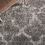 Safavieh Hudson Shag 269 Rug, SGH269 - Grey / Ivory