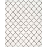 Safavieh Indie Shag 322 Rug, SGI322 - Ivory / Grey