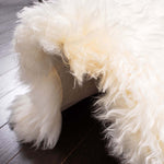 Safavieh Sheep Skin 121 Rug, SHS121 - WHITE