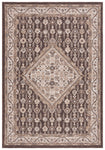 Safavieh Sunrise 620 Rug, SUN620 - Grey / Beige Black