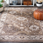 Safavieh Sunrise 624 Rug, SUN624 - Grey / Beige Black