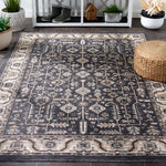 Safavieh Sunrise 627 Rug, SUN627 - Ivory / Grey Black