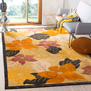 Safavieh Tibetan 18A Rug, TB518A