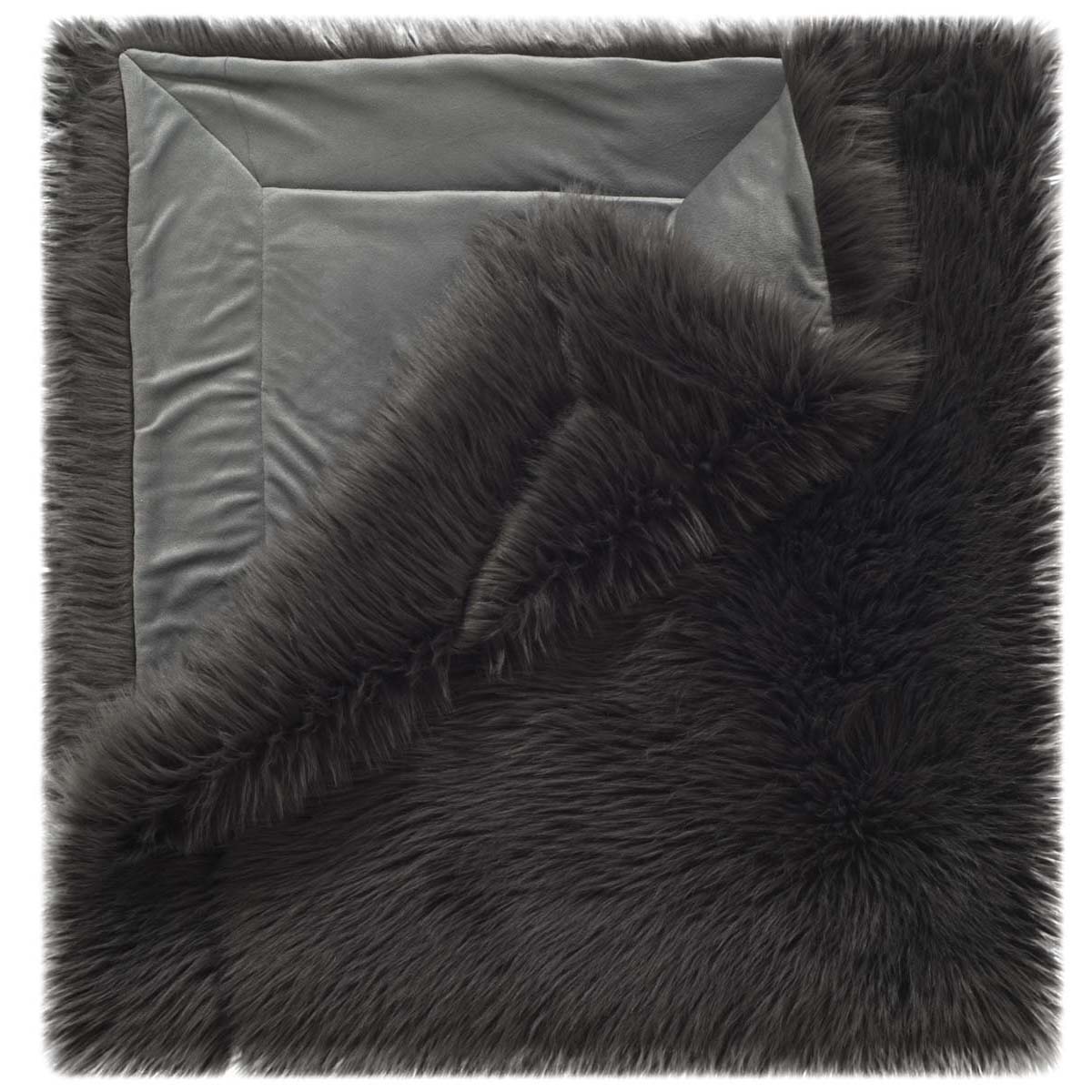 Dark Grey - Dark Grey