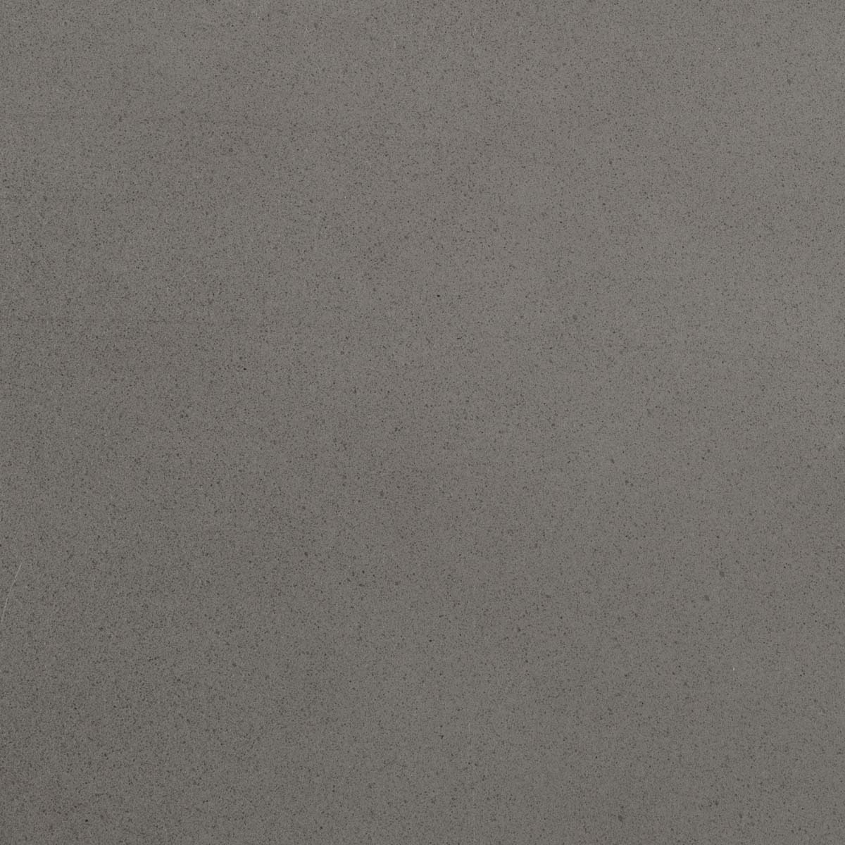Grey - Grey