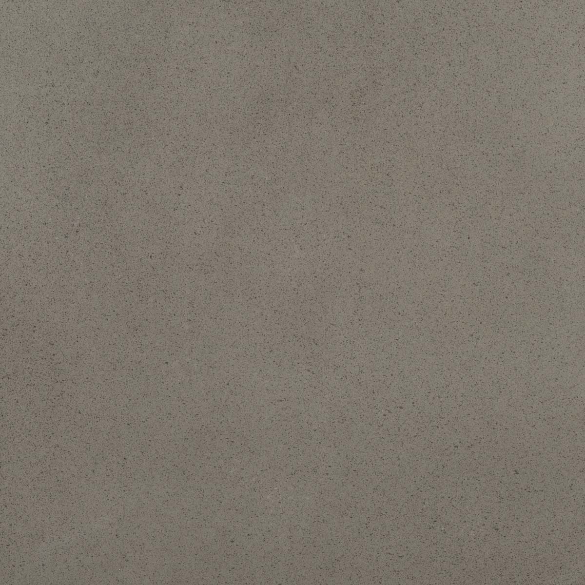 Grey - Grey