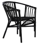 Safavieh Adriana Rattan Accent Chair, ACH6505 - Black (Set of 2)