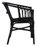 Safavieh Adriana Rattan Accent Chair, ACH6505 - Black (Set of 2)