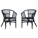 Safavieh Adriana Rattan Accent Chair, ACH6505 - Black (Set of 2)
