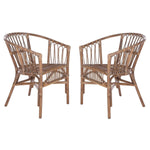 Safavieh Adriana Rattan Accent Chair, ACH6505 - Grey White Wash (Set of 2)