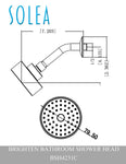 Solea Brighten Shower Head Stainless Steel Single Setting 7.2X3.1X2.4 - Chrome